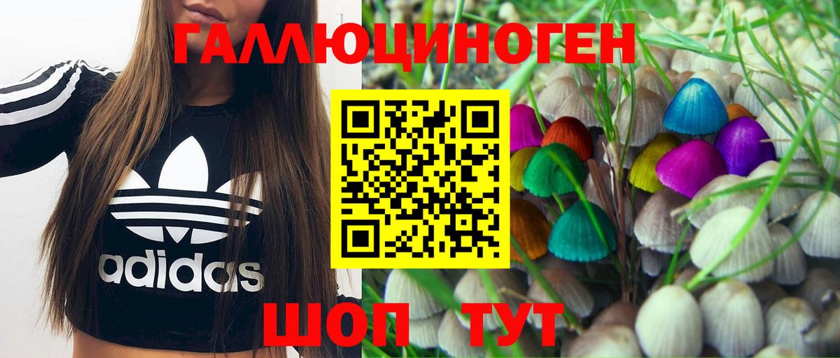 Псилоцибиновые грибы ЛСД Минусинск